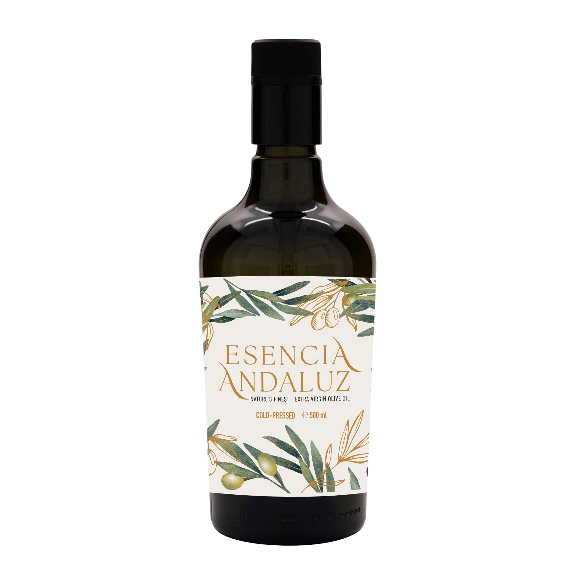 Olive-Oil-Bottle-----6